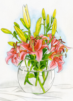 Lilien Aquarell