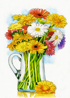 Gerbera Aquarell von Schipper Malen nach Zahlen Gerbera Aquarell