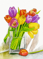 Tulpen Aquarell von Schipper Malen nach Zahlen Gerbera Aquarell