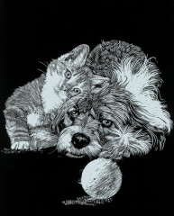 Katze und Hund - Kratzbild Silber ohne Rahmen