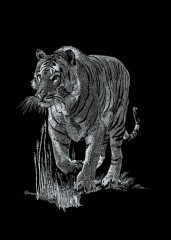 Tiger - Kratzbild Silber ohne Rahmen - Mammut