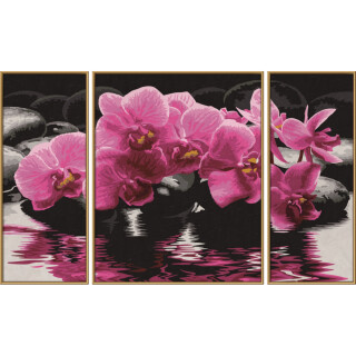 Orchideen - Schipper Malen nach Zahlen Triptychon
