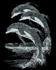 Scraper Delfine - Kratzbild Silber ohne Rahmen