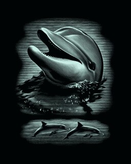 Delfin - Kratzbild Scraper Silber ohne Rahmen