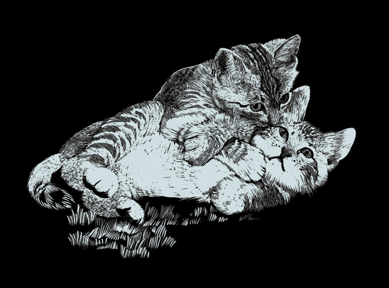 Katze Mammut Kratzbild Silber ohne Rahmen Katzen Kratzbilder Scraper Kreativ 
