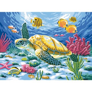 Maritimes Malen nach Zahlen Bild Schildkröte, 41x33cm Malvorlage Meerestier