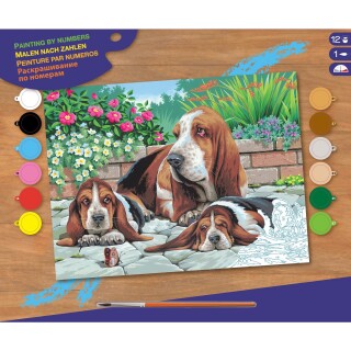 Malen nach Zahlen Senior Tierbild Bassethunde, 39,5x32x2cm Vorlage Hundefamilie