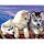 Prächtiges Malen nach Zahlen Senior - Huskies, 39,5x32x2cm Malvorlage Hunde
