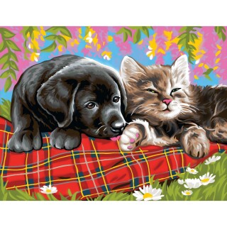 Süßes Malen nach Zahlen Senior - Hund und Katze, 39,5x32x2cm Malvorlage Schlafende Tiere