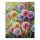 Blütenfeuerwerk - Schipper Malen nach Zahlen Meisterklasse Premium 40x50cm