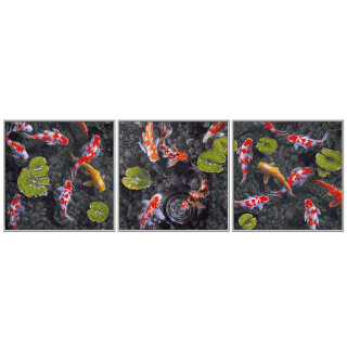Koi Juwel im Fischteich - Schipper Malen nach Zahlen Triptychon je 40 x 40cm
