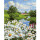 Mageritenwiese - Schipper Malen nach Zahlen 24 x 30 cm