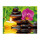 Relax - Schipper Malen nach Zahlen Meisterklasse Premium 24x30cm