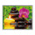 Relax - Schipper Malen nach Zahlen Meisterklasse Premium 24x30cm