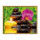 Relax - Schipper Malen nach Zahlen Meisterklasse Premium 24x30cm