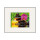 Relax - Schipper Malen nach Zahlen Meisterklasse Premium 24x30cm