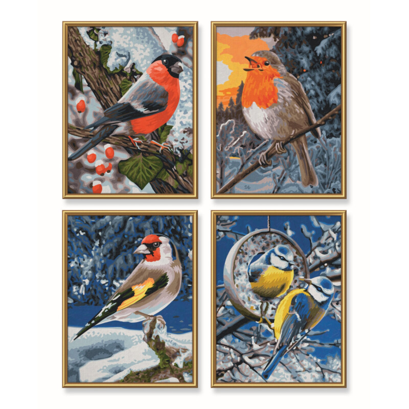 wintervögel malen nach zahlen schipper 4 malvorlagen 18 x